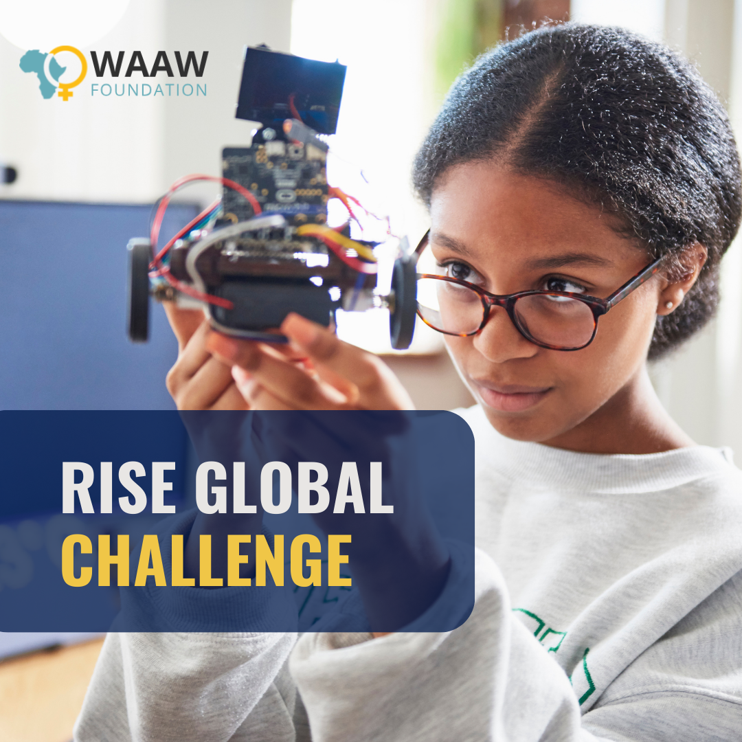 How to Apply for the RISE Global Challenge and Get Guidance from WAAW Foundation